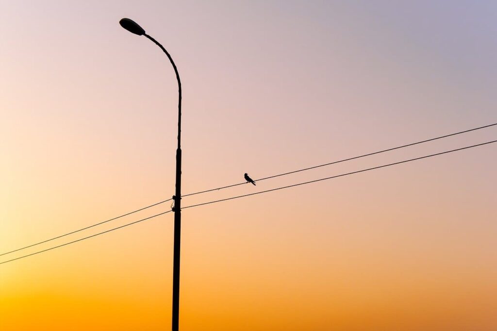 바쁘지 않아도 불안할 때가 있다